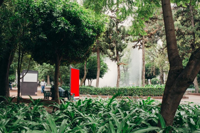 Mexico City in August: Local Tips & What to Expect