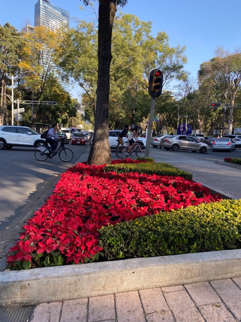 Mexico City in December: Weather & Things to Do
